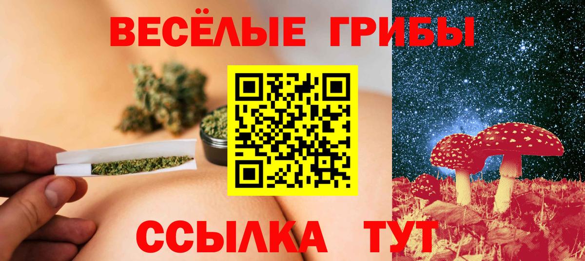 Галлюциногенные грибы Psilocybe  Вход с VPN  Псилоцибиновые грибы прущие грибы  Зеленокумск 